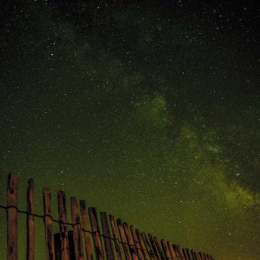 Mengungkap Rahasia di Balik Otak Digital Kecerdasan Buatan