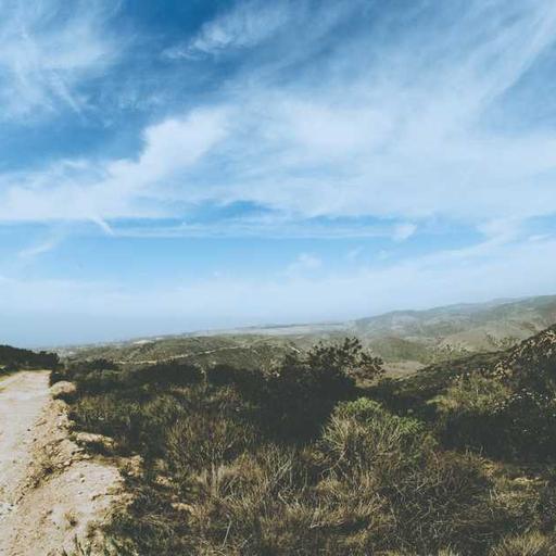 Menyusuri Keindahan Hutan Tropis yang Masih Perawan