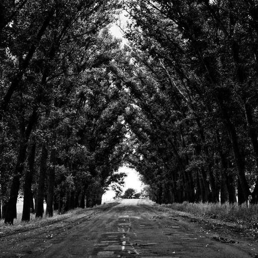 Peran Hukum dalam Menjaga Stabilitas Sosial